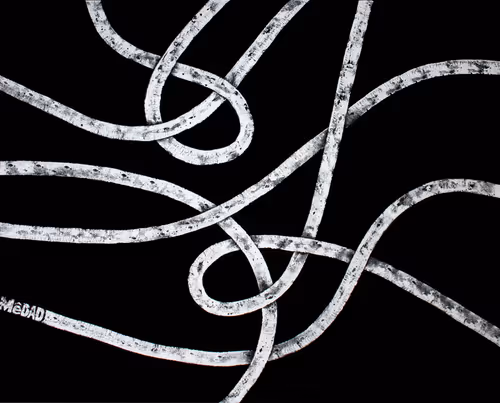 Item #19348387886638314608226308073204764497624528496557652038344455858075763474433 Media