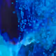 92473040111826227726636091204640362188852278901950935708721703501962101653505