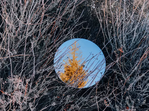 Item #57762364176817967113171601073029693715044262343455038936380107500349489676289 Media