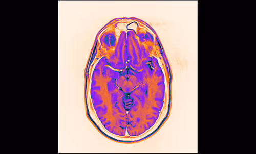 Item #64162533542198579898252916190583583845604629893829087458582976352722924601345 Media