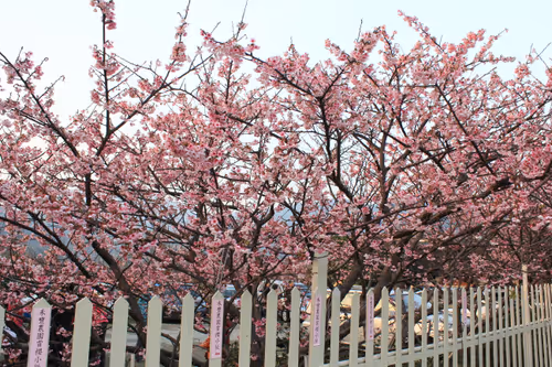 Item #88341892428238457671163359138931352612055705478125639874456303488522896015361 Media