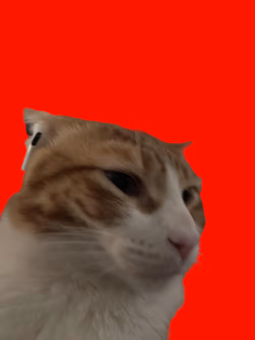 Item #5376024294347656019804148146500531701655372850999632202714286674267235942401 Media