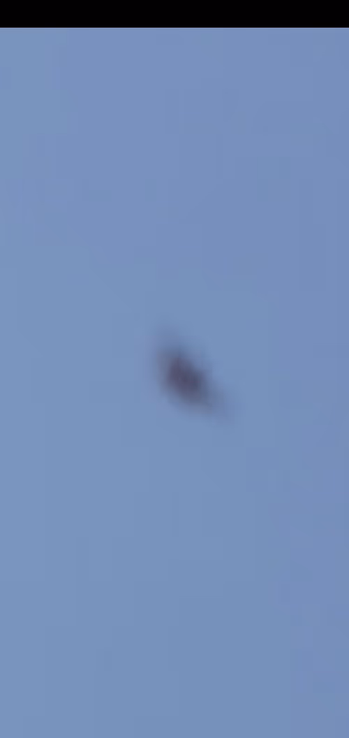 Item #19624833753065134502322523397661449592340320591510987069321211827900578267137 Media