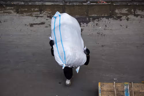 Item #36435048601451595721236919608703158547278520430375791803951693279293121495041 Media