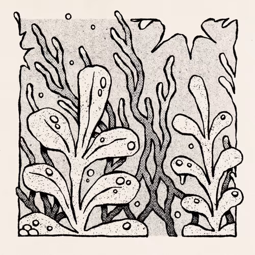 Item #109538220464172180125160827934305511547152331188363853628557181074838690725889 Media