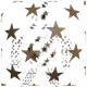 45539596490288351960085431985510159546029184109250154353941012683549808001025