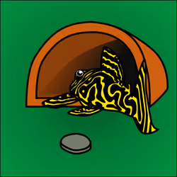 81664083123670143983968740139941474364733981378414170565535210079873809776641