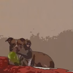 CARTOON VIRAL MONKEY AND DOG