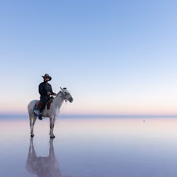 White Horse and Rider