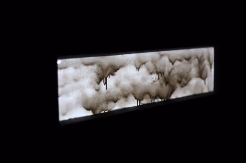 Item #78658003139539629731403547658687752488763964800985048386040806764789964472321 Media