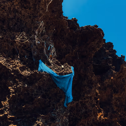 Tales From The Ocean