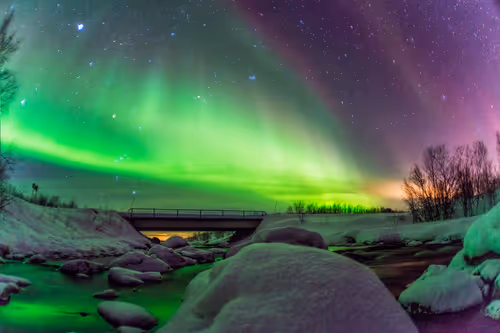 Item #35299893727096286200609341642010277792259011639099896802846542952948251492353 Media