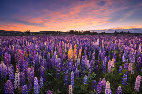 Item #98745491564379547554924435713421898077677728399868739538264606790855207944193 Media