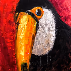 The Real Toucan