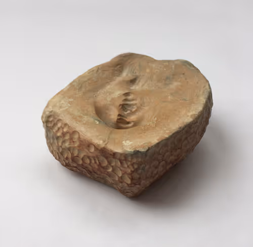 Item #54723381013275240471313122301934963019226611993966360213082295953019656732673 Media