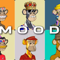 Bored Ape yacht club #111