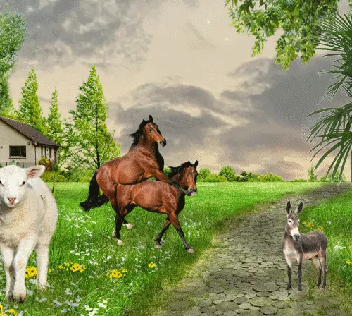 69046647551876631812407603757465421868469504969916764237364829774590655856641