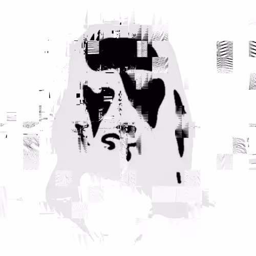 Item #42575506887562679358574824165221315557063971967072034901781375497082503168001 Media