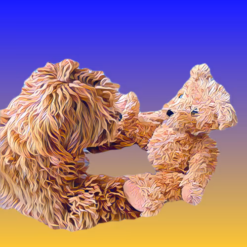 Metaversemaltipoo