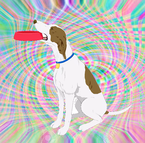 Item #107579162152904856269383634079662811571256785376160039171717692802465389346817 Media