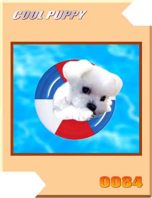 Item #21477548388787063266658748687199700189937005018840532589754440449194459136001 Media