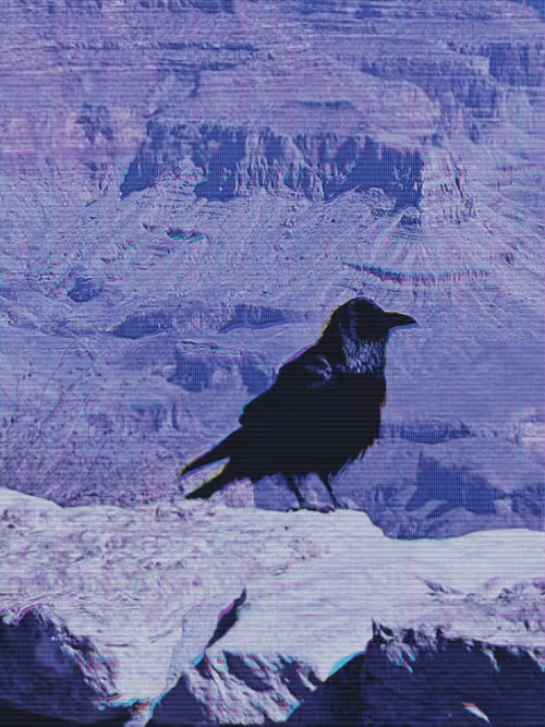 Item #102287863212882690095268540385346518351370886972702562396604352434940560801793 Media