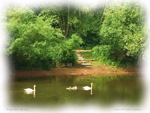 Item #25766228410116791685339336380012731519026805930459738932816938833599891767396 Media