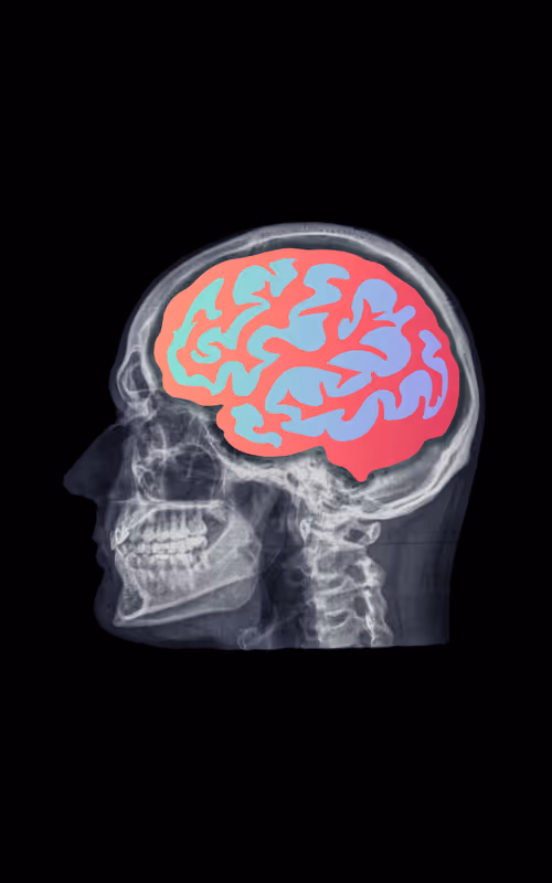 Item #24230885534779484670501703553684953274983737514794072512407783982956095209482 Media