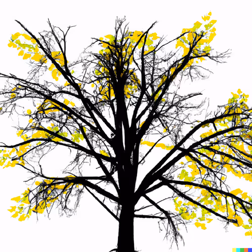 Item #25465908156846355322577856369750152539502391158617128981658721399098742669313 Media