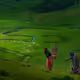 82067386284829698182569266023423980012203401331580942720775424744637396418561