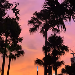 Darling Quarter