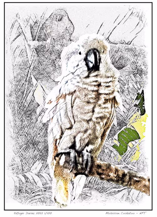 Item #113829610119937179277145653237989536661159515398728099625049874698547985645569 Media