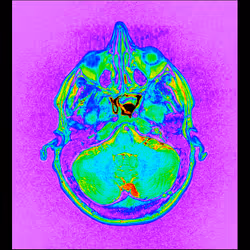 64162533542198579898252916190583583845604629893829087458582975926112413024257