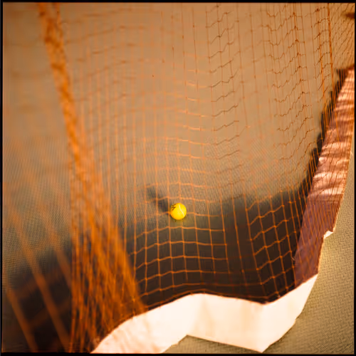 raoulfilm Collection - old