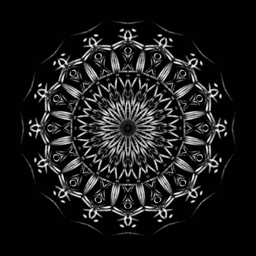 26185187814367725376940026929040218982398144969044494291860281391812423188481