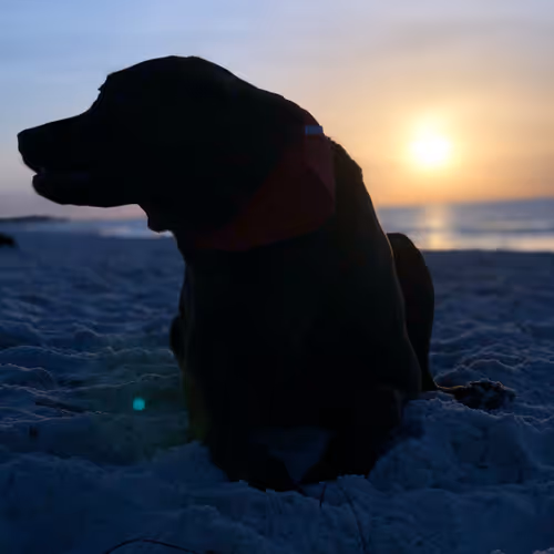 #23147624282647485933858306230170560691928817079616304204853042725117713448961