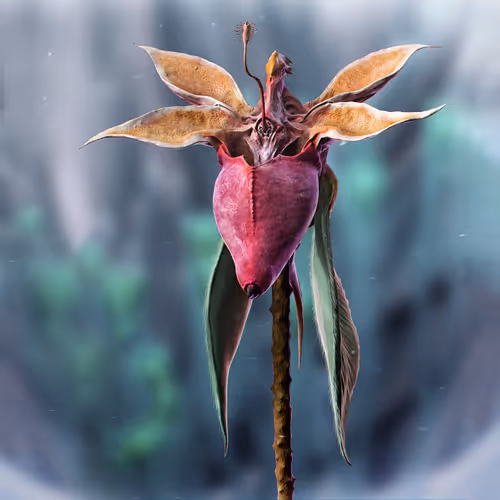 Item #64820935923896147261894658532669847997964443952729136811082819407475460014083 Media