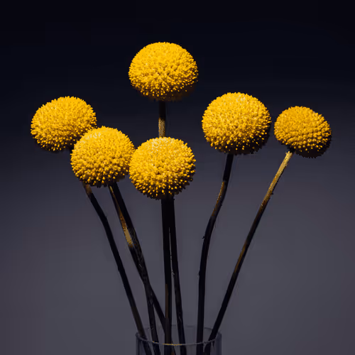 89395129181698209547283611781038118340136519888470237803280047535957649391617