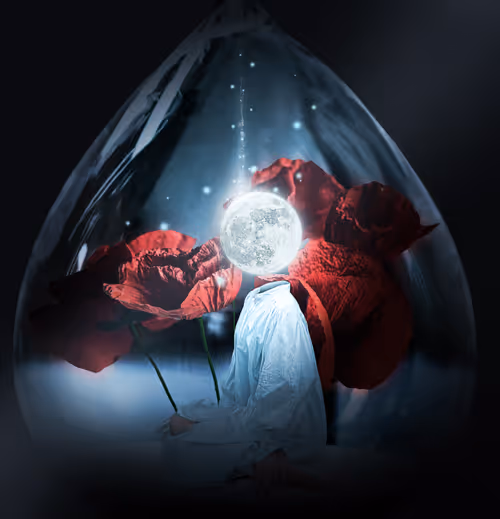 Item #5424861636967533120336005387124685975556528510556515975901620445867633803265 Media