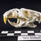 32615301797037247882275066843320251953525887094996780073489952961511513128961