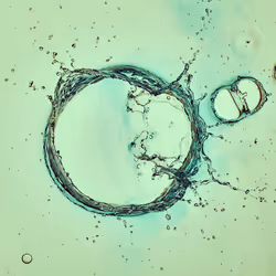 46489901761508154690977052556102681350934379687164571149816291706299142373377