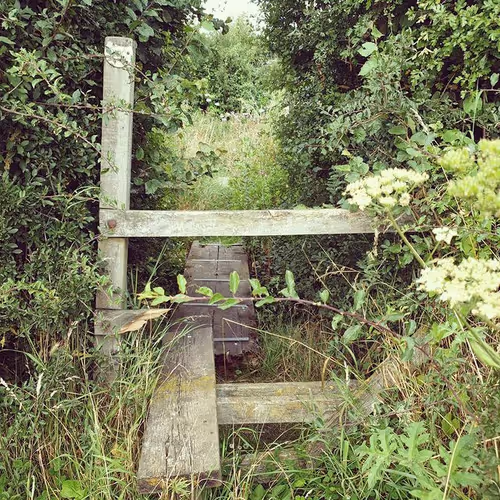 Item #105237010342582609876748436582366170093723610565651913513256945280885821800449 Media