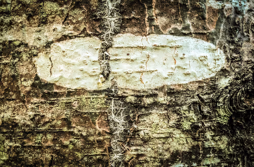 Item #78614967916850878758896281278088562819031429561597845143063367992612130652161 Media