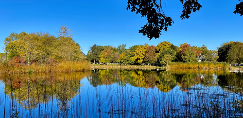 Item #9364992560227455506567503580295983665190821066338401604885509237277382934529 Media