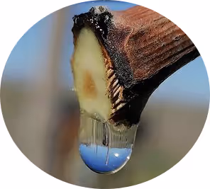 Item #112638842012957323397667355409978621827807315041052331183986003377951403409409 Media