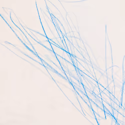 lines#013