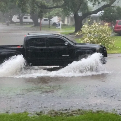 Taco Vs. Hurricane Laura 
