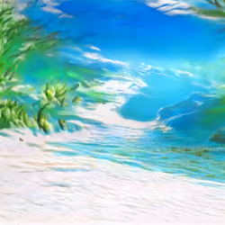 Zoom Palm