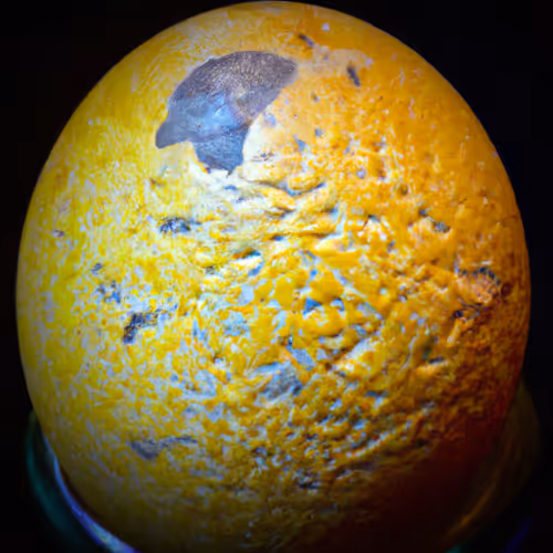 Item #109087575721160495322474948994021635357044115726888814237754471330689029505025 Media