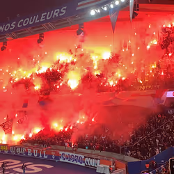 9195971482570716808423247466300178098484328511901927344091832335542379347969